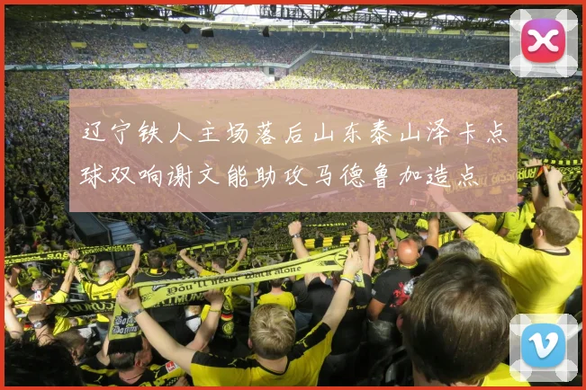辽宁铁人主场落后山东泰山泽卡点球双响谢文能助攻马德鲁加造点